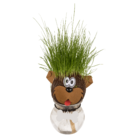 Animal Grass head,