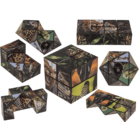 Boundless Cube, Wild Animals,