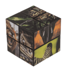 Boundless Cube, Wild Animals,