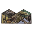 Boundless Cube, Wild Animals,