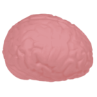 Cerebro XL Squeeze, 15