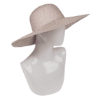 Chapeau de paille, Colourful Elegance