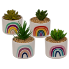 Decoration Succulent in pot, Rainbow,