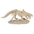 Excavation kit, Dinosaur Skeleton,