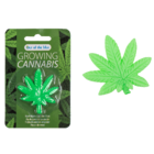 Feuille Cannabis croissant, env. 5 x 5