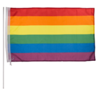 Flagge, Pride, ca. 90 x 60 cm,