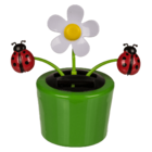 Fleurs & Insecte mobile dans pot en plastique avec