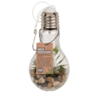 Glass bulb for hanging,