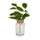 Glass vase with jute handle for hanging,