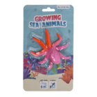 Growing Sea Animals, 10 cm,