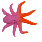 Growing Sea Animals, 10 cm,