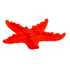 Growing Sea Animals, 10 cm,