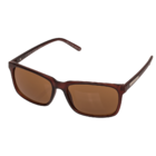 Lunettes du soleil pour hommes,