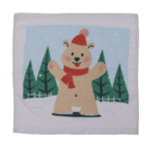 Magic cotton towel, Winter Friends,