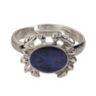 Mood ring, Sea life, one size,