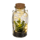 Planta decorativa en cristal para colgar