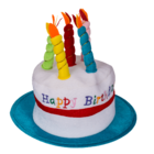 Plush Birthday Hat with 5 candles, Happy Birthday,