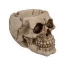 Polyresin ashtray, Skull,