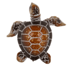 Polyresin decorative figurine, turtle, 5 x 2 cm,