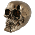Polyresin savings box with lock, Skull,
