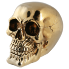 Polyresin savings box with lock, Skull,
