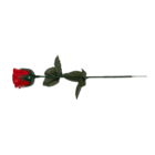 Red plastic rose with colour changing LED (incl.,