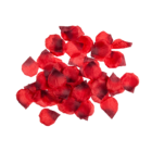Red rose petals,