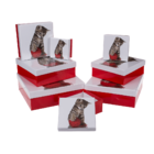 Red/white gift boxes, Cat,