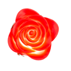 Rosa de plástico roja con LED que cambia de color,