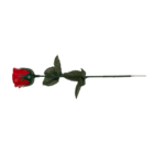 Rote Rose mit farbwechselnder LED (inkl. Batterie)