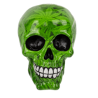 Savings bank with lock, Skull with leaves,