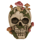 Savings bank with lock,Skull with mushroom growth,