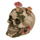 Savings bank with lock,Skull with mushroom growth,