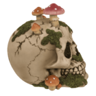 Savings bank with lock,Skull with mushroom growth,