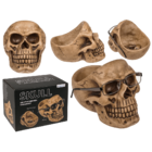 Skull Organiser, with Glasses Holder and