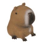 Squeezie Sand, Capibara di circa 6