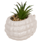 Succulenti decorativi in plastica,