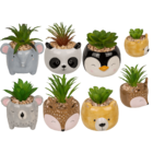 Succulenti decorativi in vasetto, Animali,