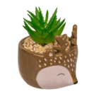 Succulenti decorativi in vasetto, Animali,