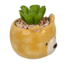 Succulenti decorativi in vasetto, Animali,