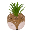 Succulenti decorativi in vasetto, Animali,