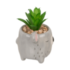 Succulenti decorativi in vasetto, Animali,