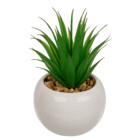 Succulenti decorativi in vaso di ceramica bianco,