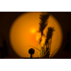 Sunset lamp, ca. 29 cm, LED: 7W,