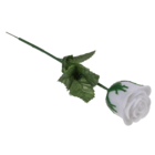 Weiße Rose mit farbwechselnder LED