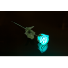 White plastic rose with colour changing LED
