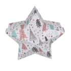 White star shaped gift box,